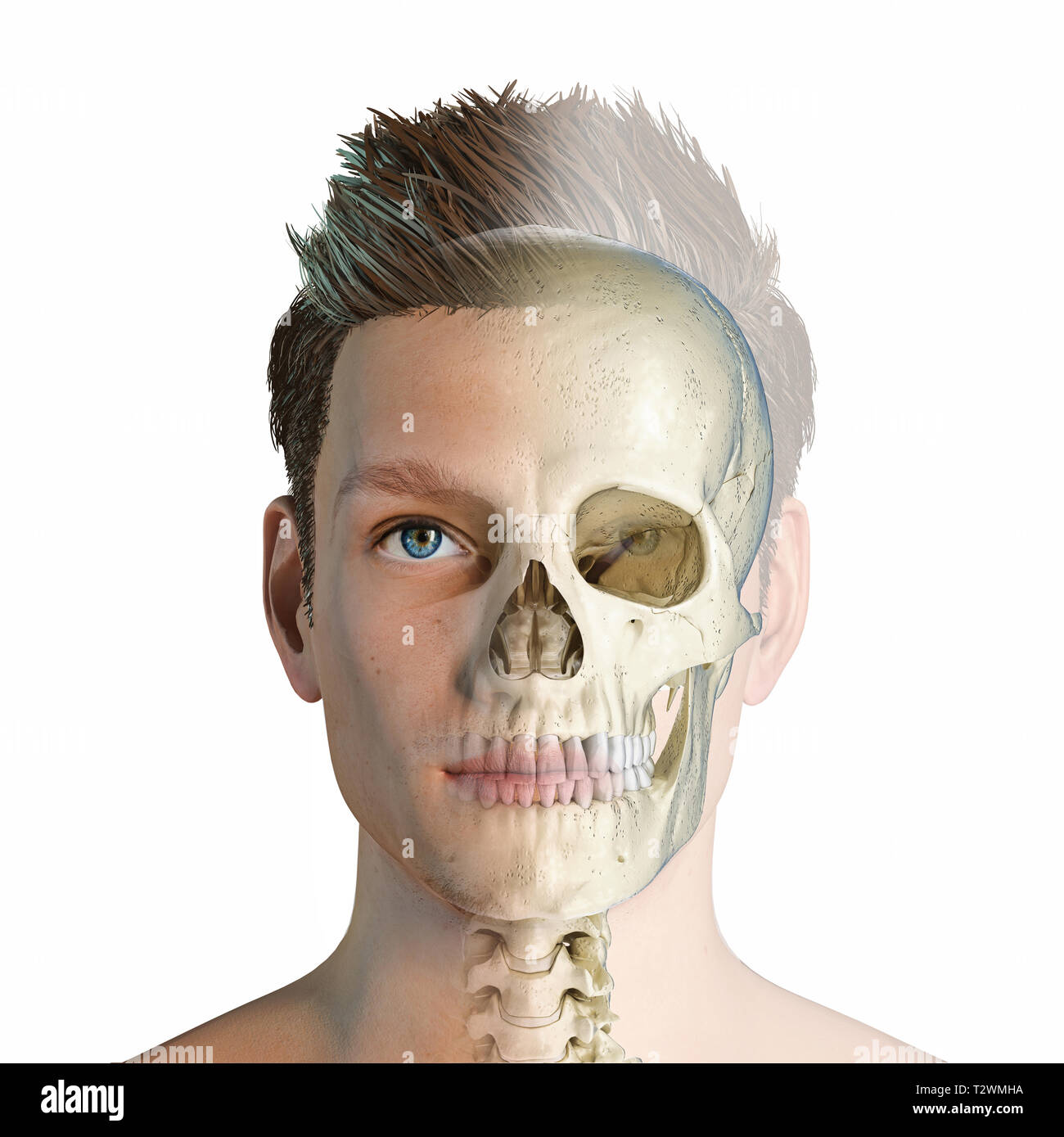 Tête d'homme avec tête en effet fantôme. Vue de face sur fond blanc. Banque D'Images