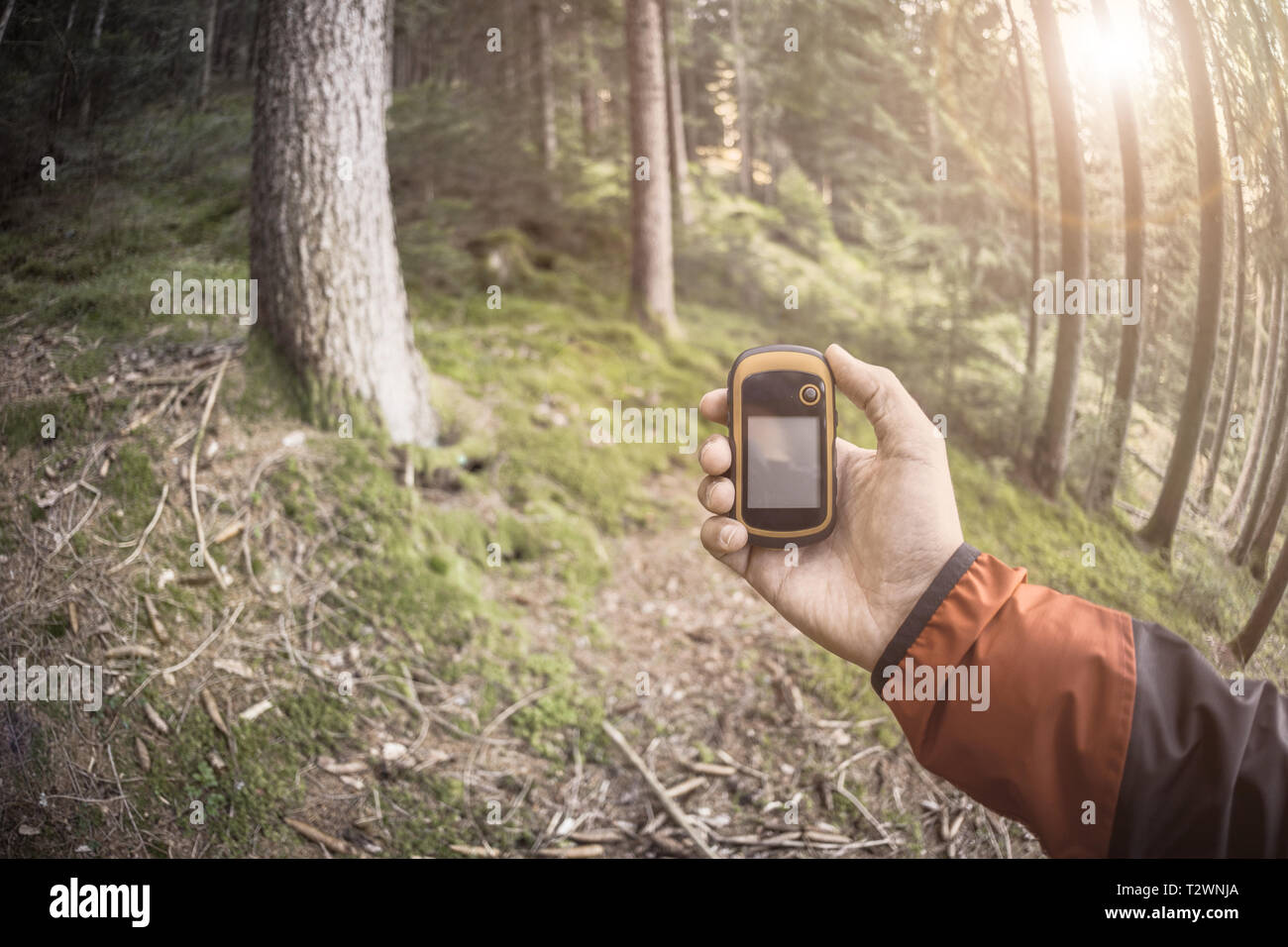 A l'aide du GPS Trekker parmi la forêt dans un jour nuageux Banque D'Images