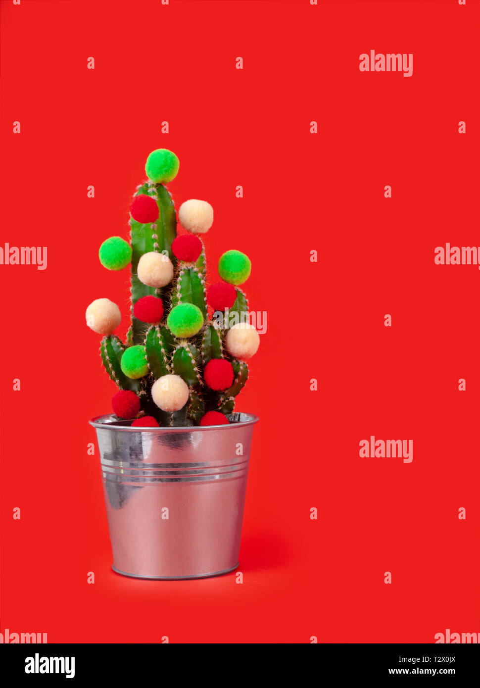 Maison De Drôles Darbres Cactus Avec Des Balles De Couleur