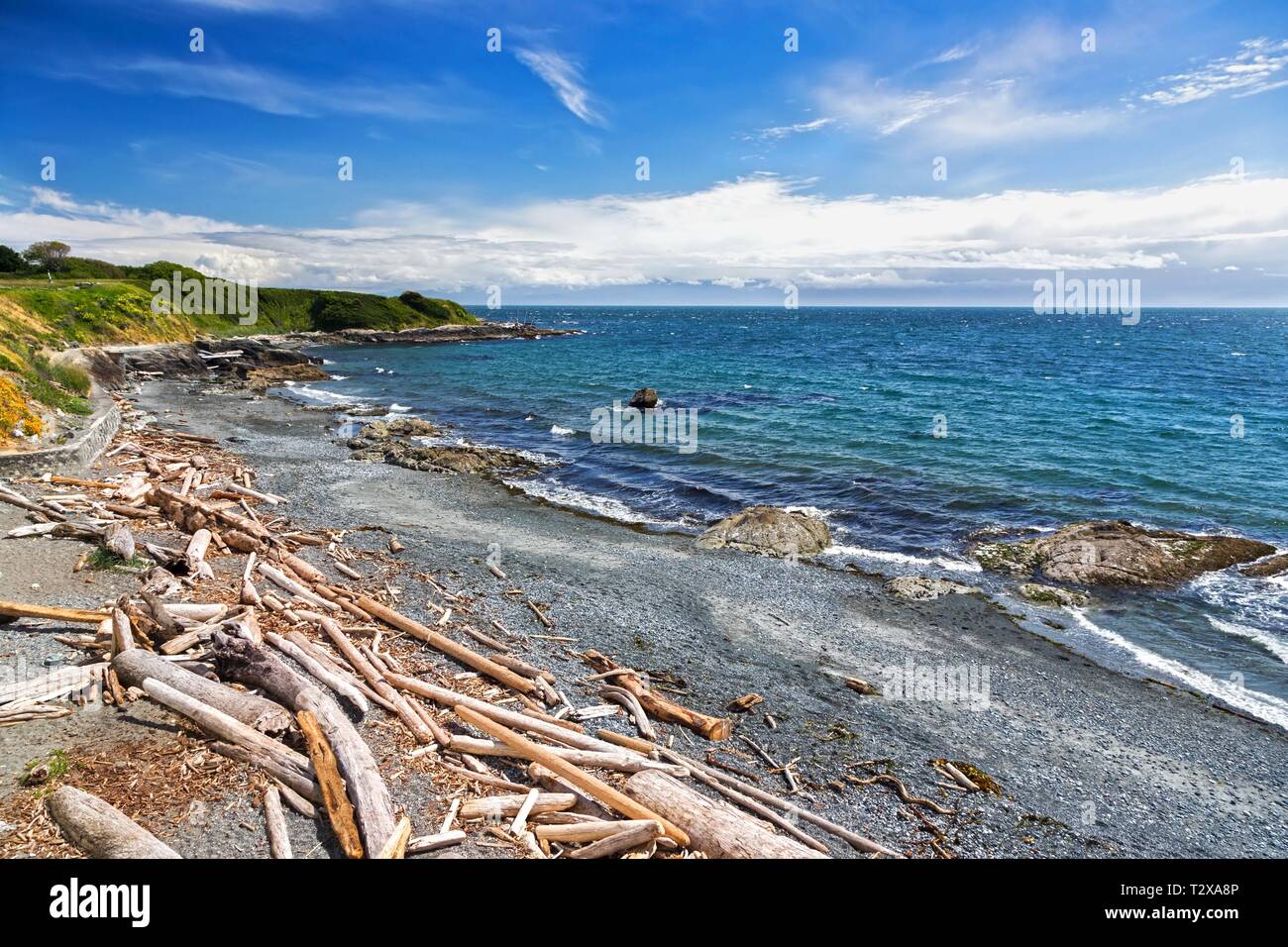 Vue sur le front de mer de Pacific Ocean Beach sur Holland point Park. James Bay, Dallas Road ville de Victoria sur l'île de Vancouver C.-B. Canada Banque D'Images