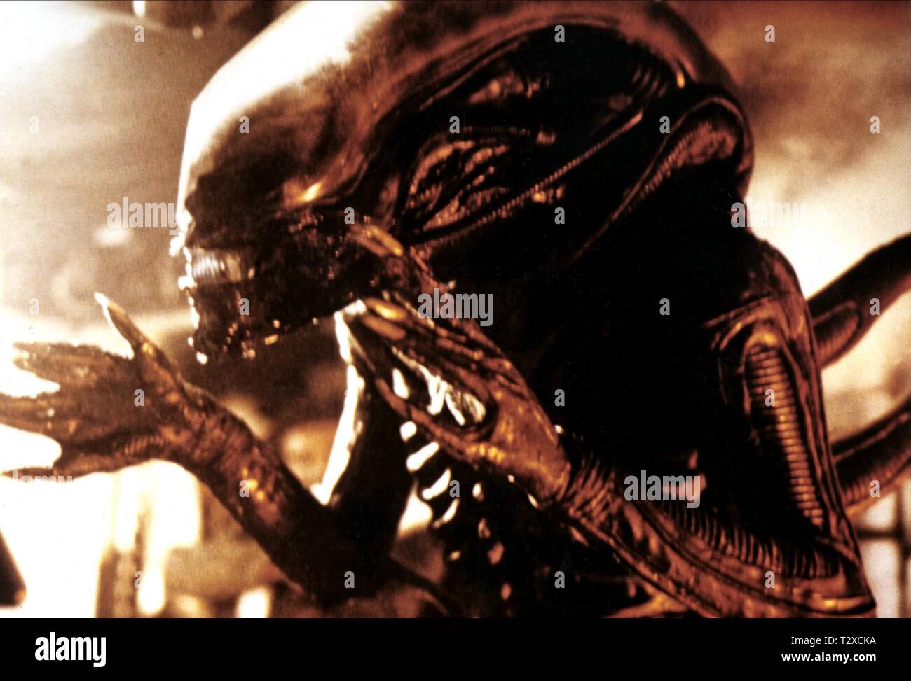 ALIEN, ALIEN, 1979 Banque D'Images