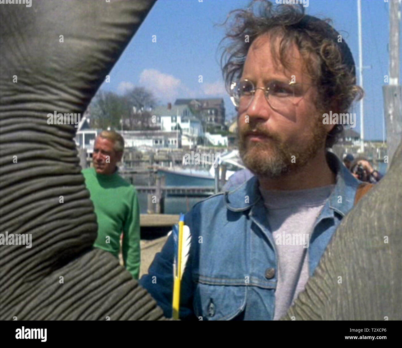 RICHARD DREYFUSS, JAWS, 1975 Banque D'Images