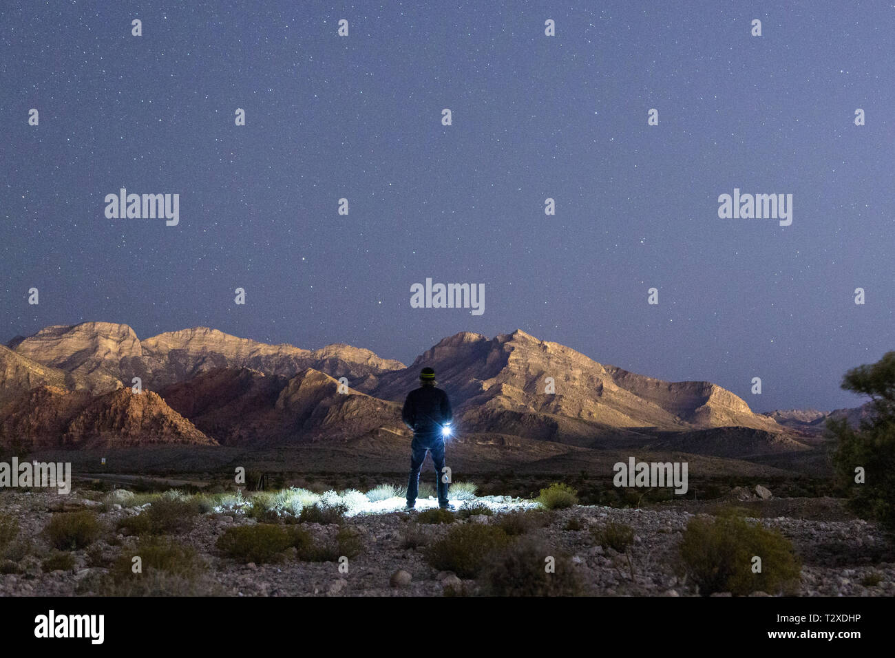 Un homme se tenant une lumière tout en regardant les étoiles à Red Rock, Nevada. Banque D'Images