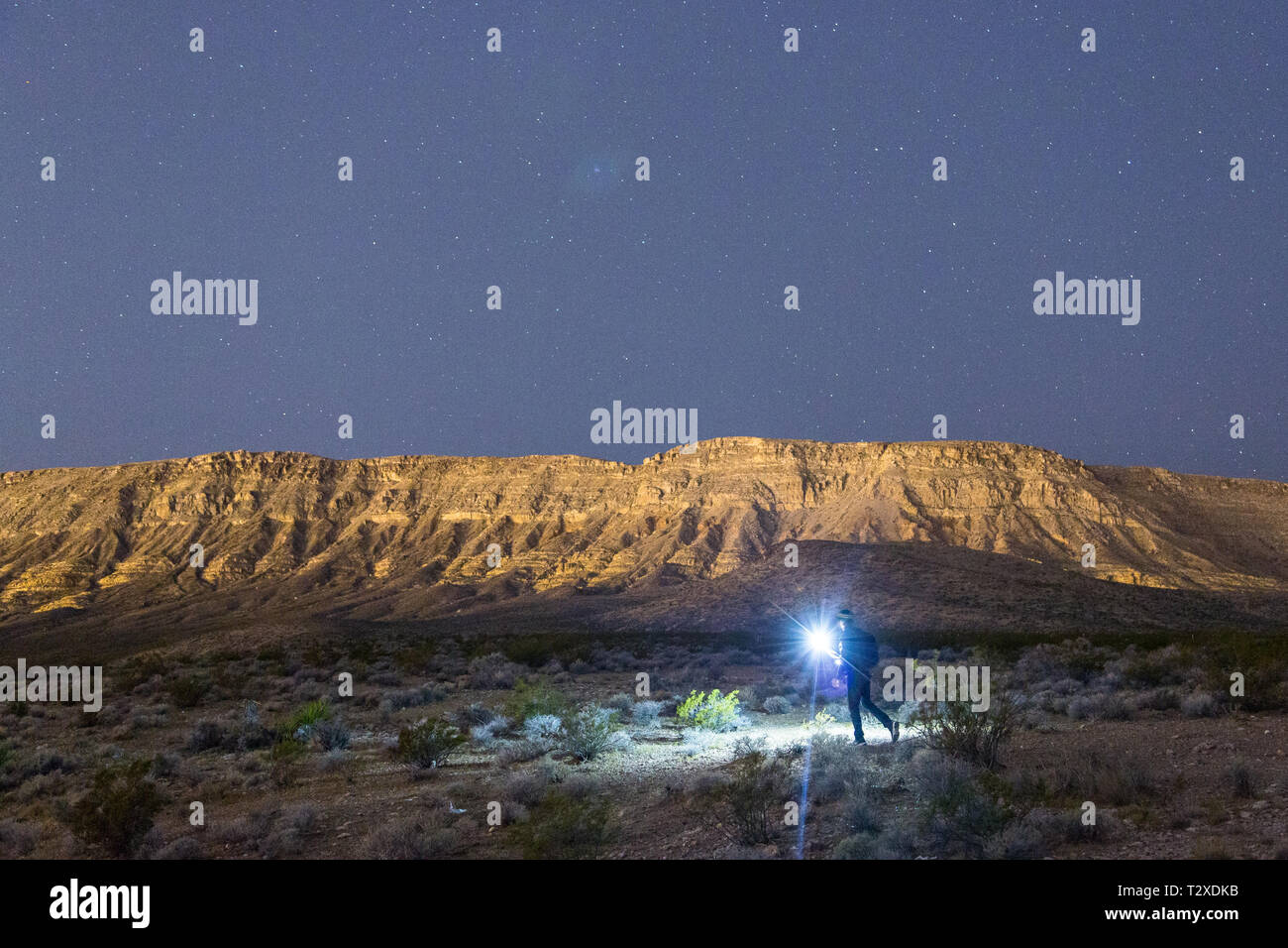 Un homme des randonnées à travers le désert sous les étoiles à Red Rock, Nevada. Banque D'Images