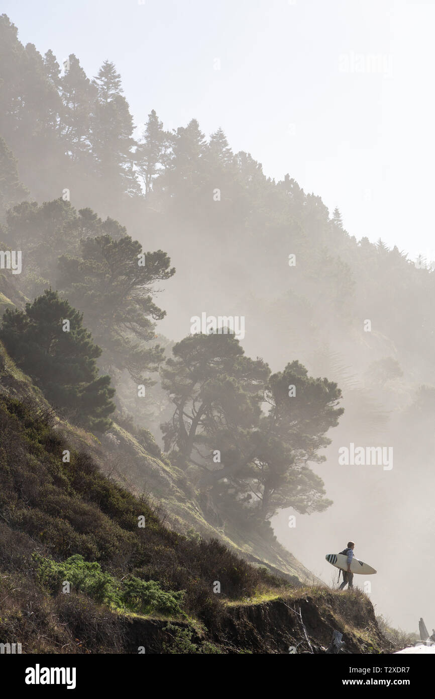 Un surfeur promenades le long d'un sentier de bord de mer dans le comté de Mendocino, en Californie. Banque D'Images