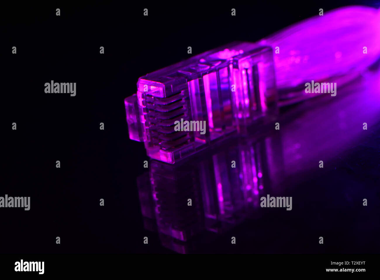 La fiche de connexion réseau avec fibres optiques isolé sur fond noir Banque D'Images