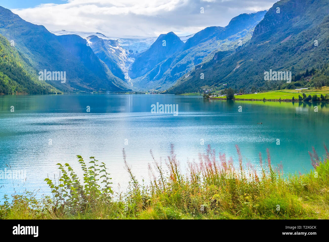 Paysage avec Fjord fjord norvégien, montagnes, fleurs et des glaciers dans la région de Olden, Norvège Banque D'Images