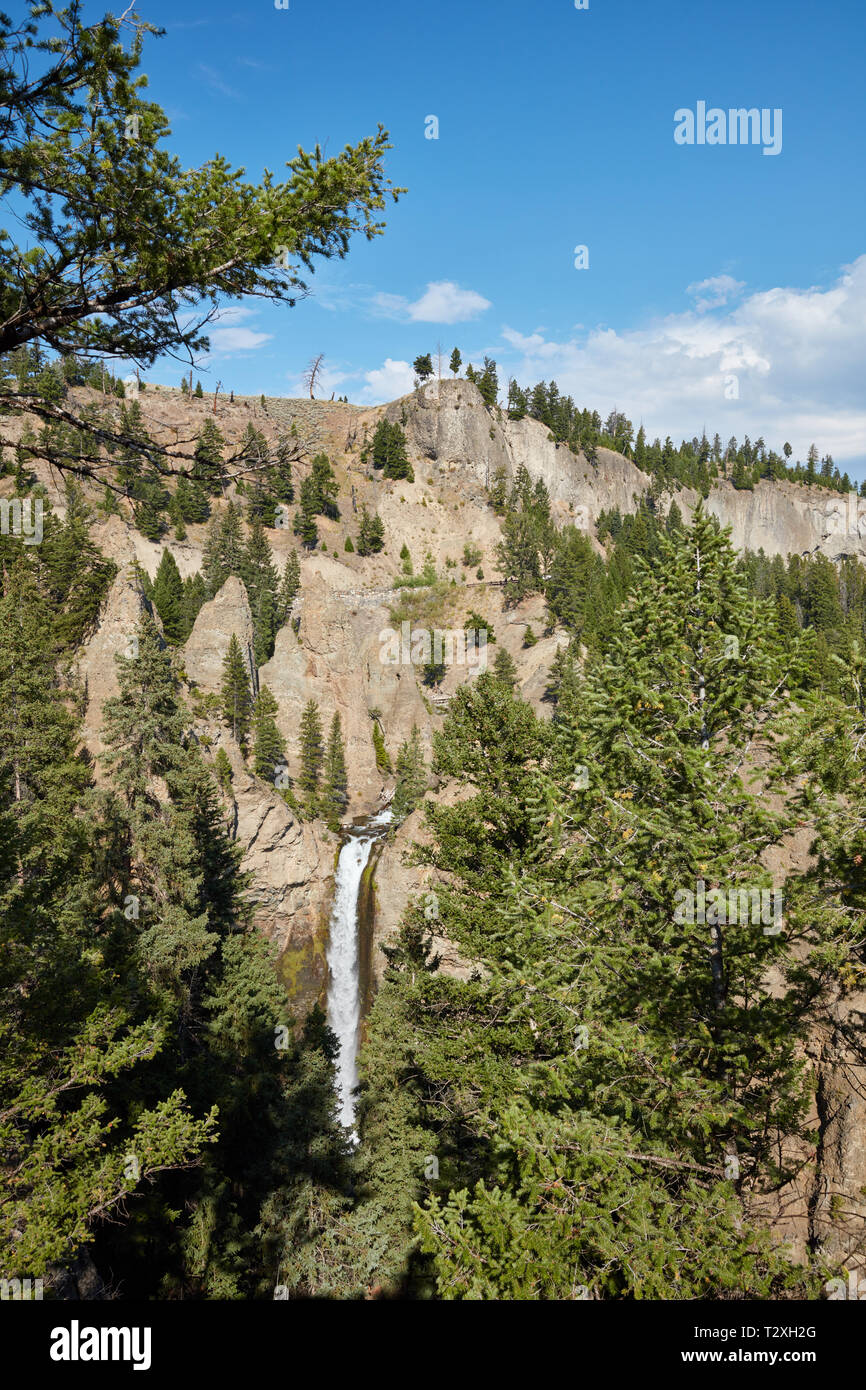 Chute de la tour du Parc National de Yellowstone Banque D'Images
