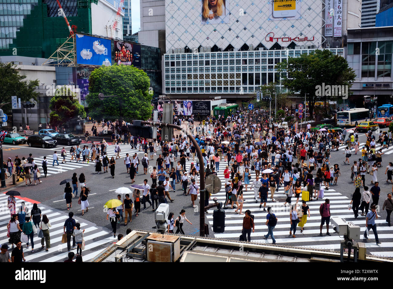 Les images sont les piétons traversant croisement de Shibuya Tokyo Japon Banque D'Images