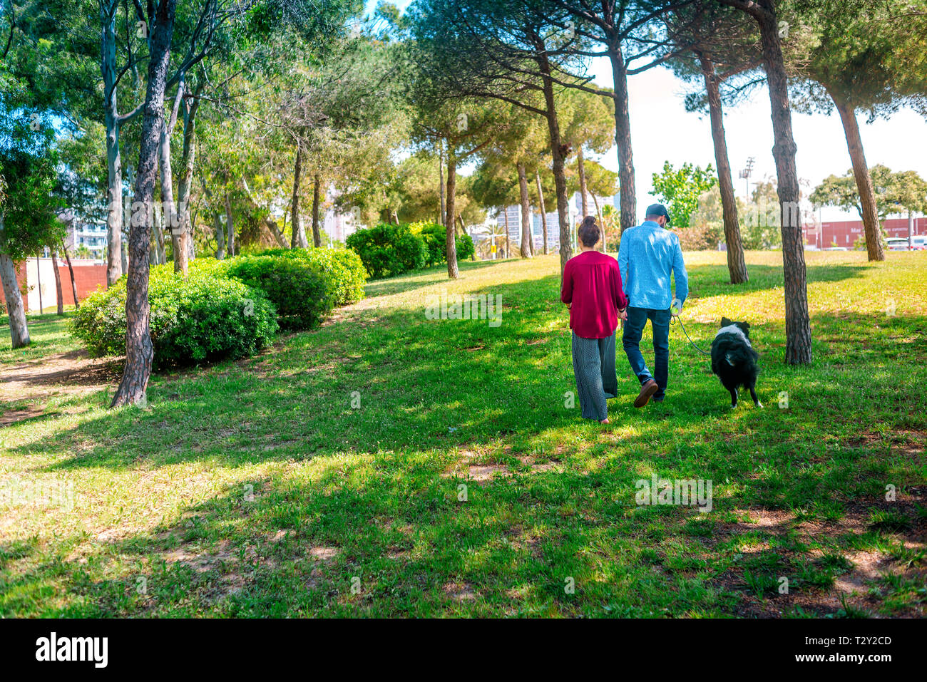 Vue arrière du couple et dog walking at park Banque D'Images