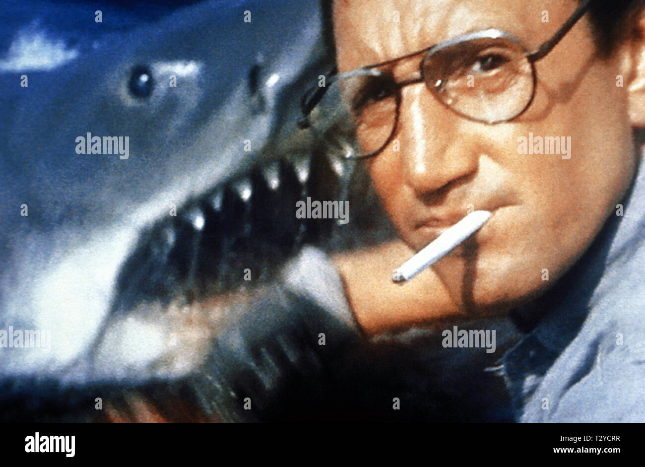 Le grand requin blanc, ROY SCHEIDER, JAWS, 1975 Banque D'Images