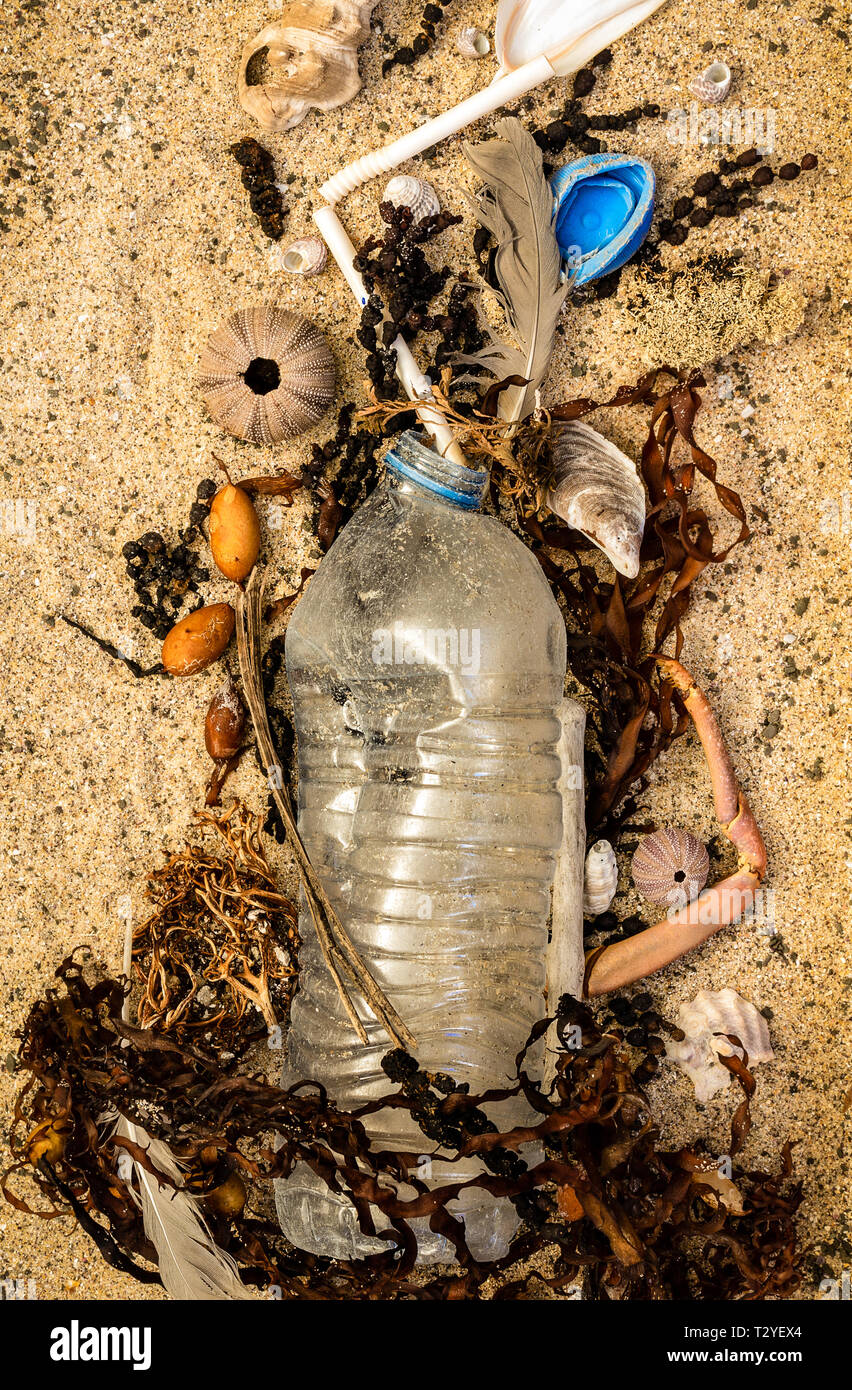 Du vrai bouteille plastique, avec couvercle et paille en plastique échoués  sur beach mélangé avec des coquillages et des algues de plumes. La pollution  en plastique à usage unique Photo Stock -