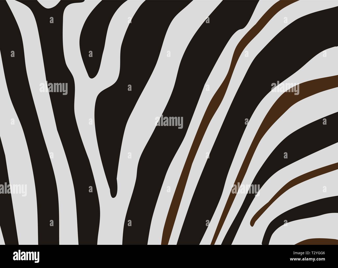 Noir et blanc de Zebra stripes texture background Illustration de Vecteur