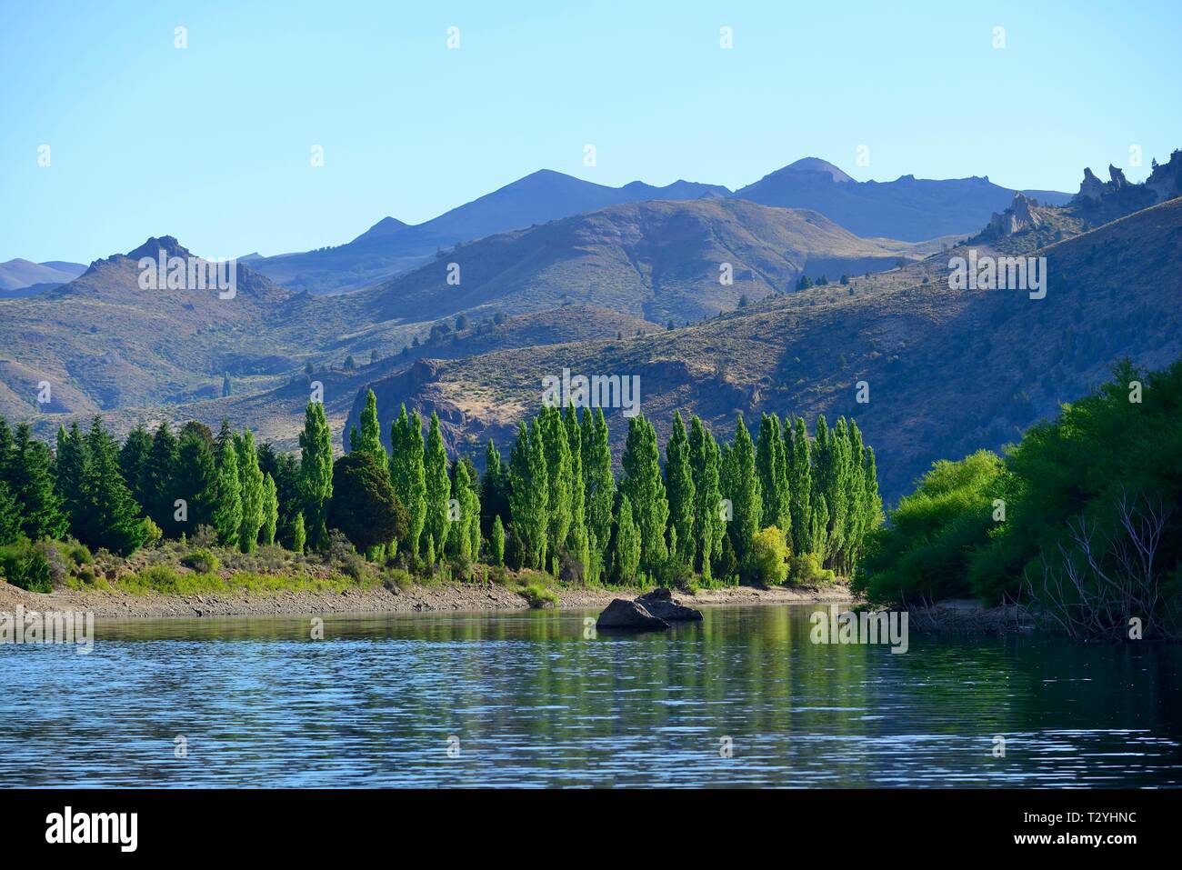 Vallée Verte à Rio Limay, Valle Encantado, Andes, province de Neuquén, en Patagonie, Argentine Banque D'Images