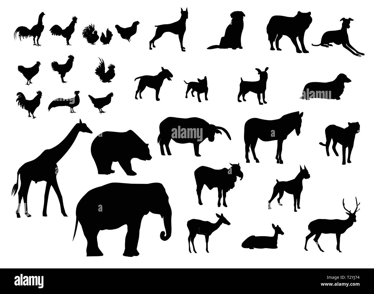 Silhouettes noires série d'animaux divers types sur fond blanc Illustration de Vecteur