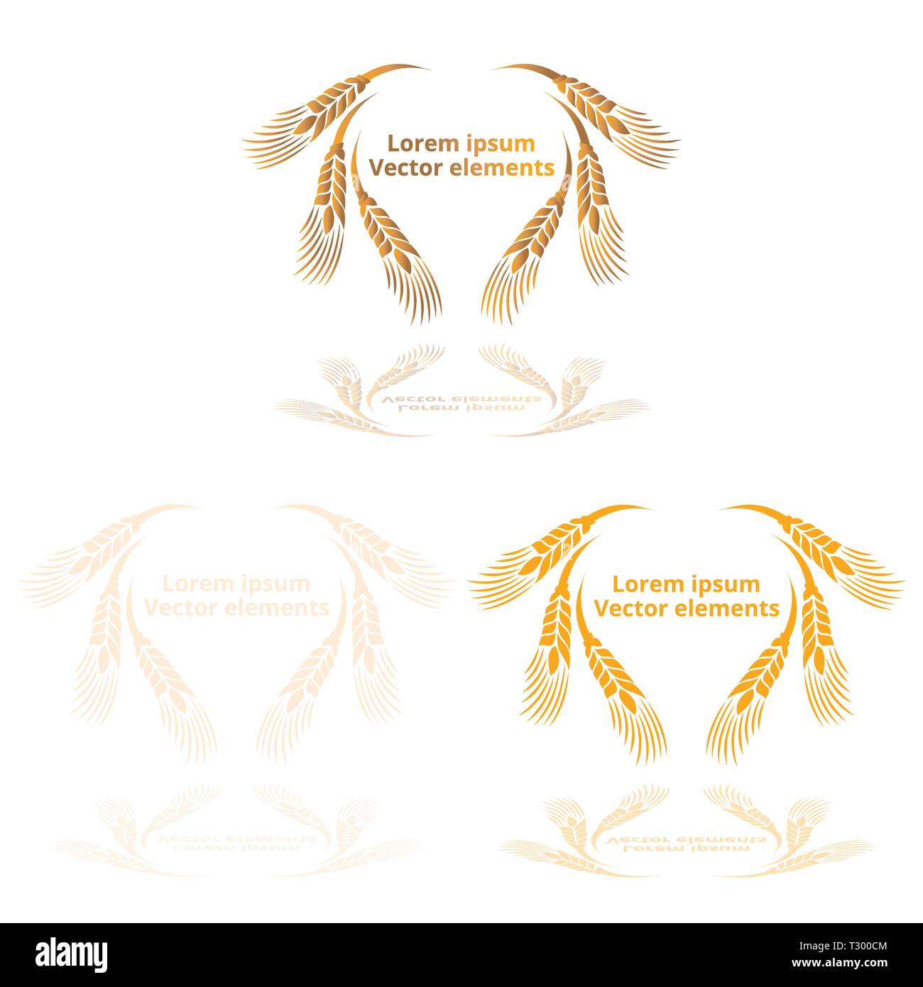 Les épis de blé, d'avoine ou d'orge trois logotypes vector set golden sur fond blanc. Eco ingrédient naturel élément, une nourriture saine ou l'agriculture, brea Illustration de Vecteur