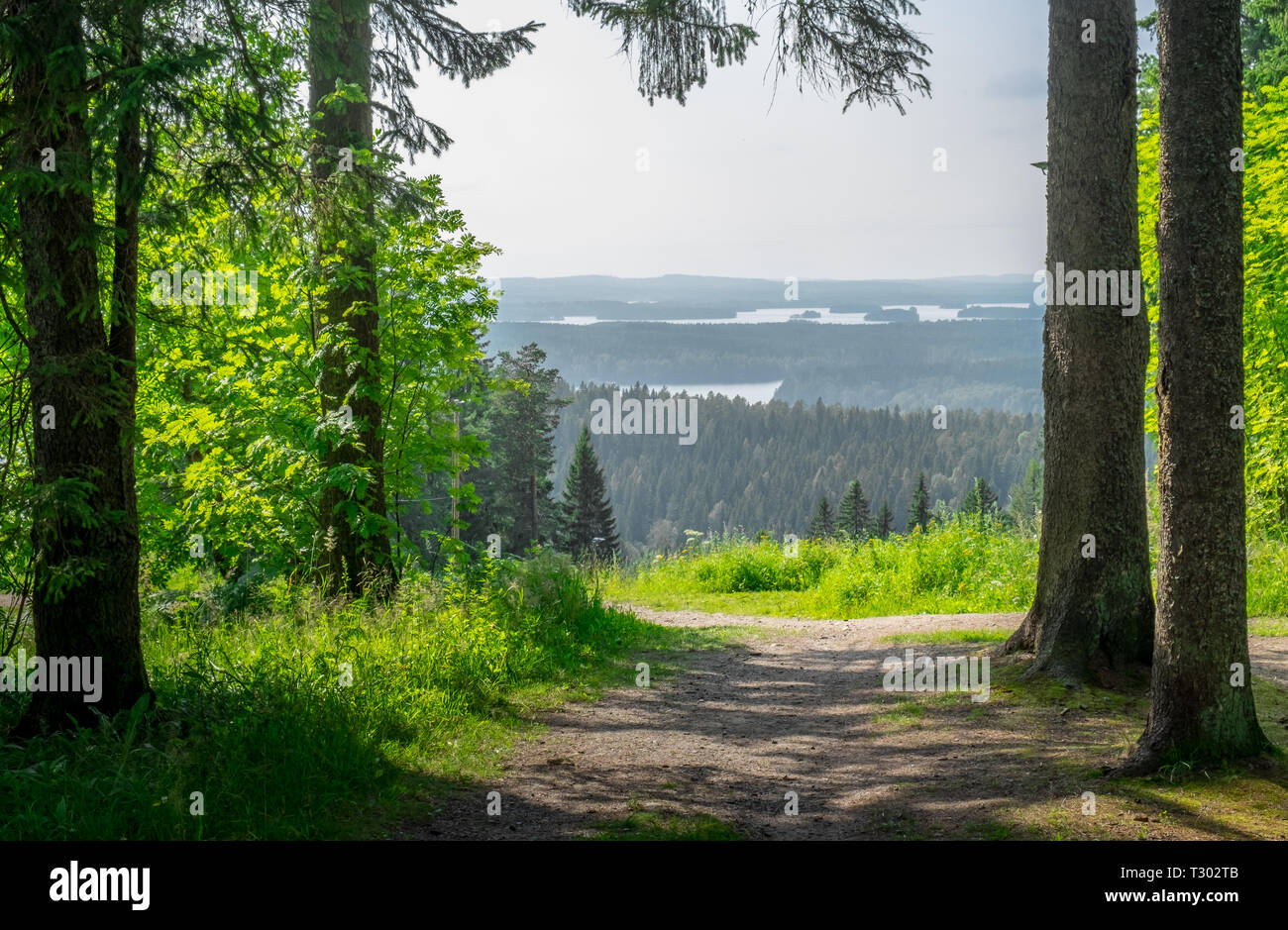 Paysage avec chemin idyllique et high angle view avec lacs, forêts de journée d'été en Finlande Banque D'Images