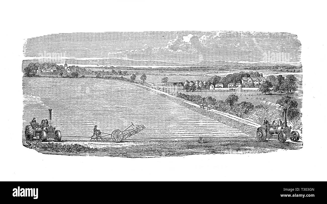 Deux machines à vapeur de cultiver par John Fowler à Magdebourg un gain de temps par rapport à du travail de chevaux Banque D'Images