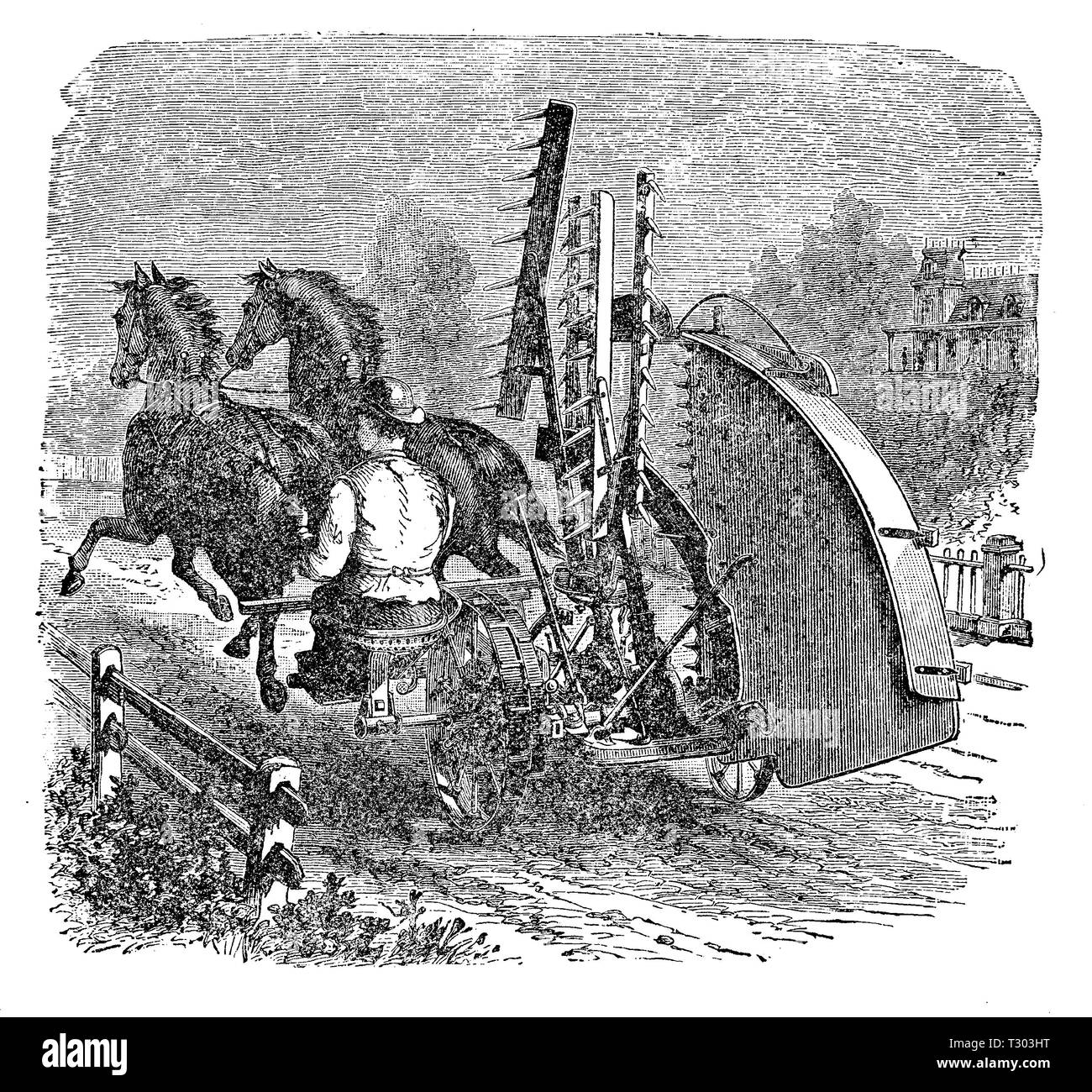 XIX siècle la machine agricole : une tondeuse de grains formés par chevaux rempli par les râteaux et plate-forme. Banque D'Images