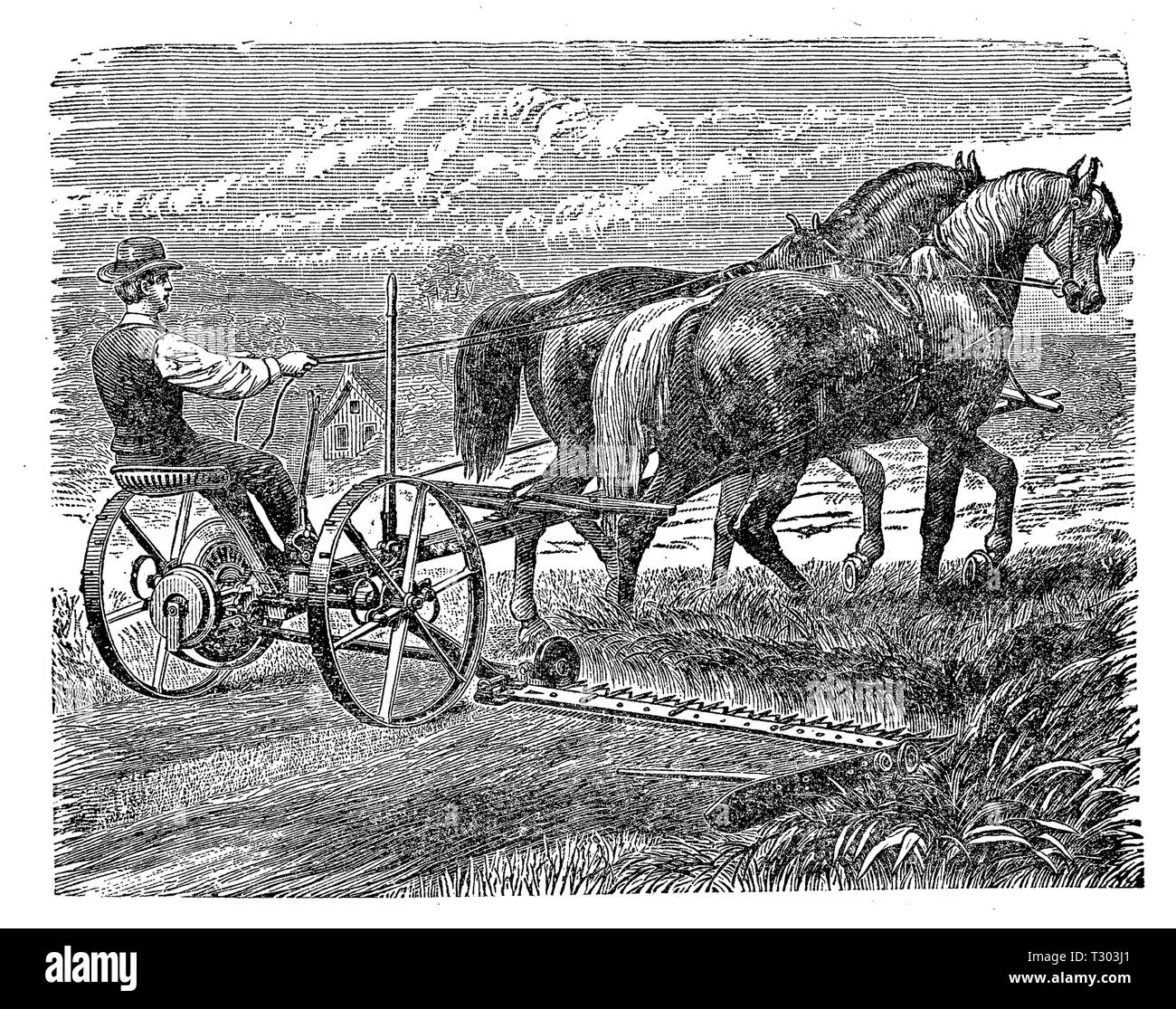 XIX siècle la machine agricole : tondeuse gazon formé par les chevaux avec une récolte annexe pour couper l'herbe et des céréales. Banque D'Images