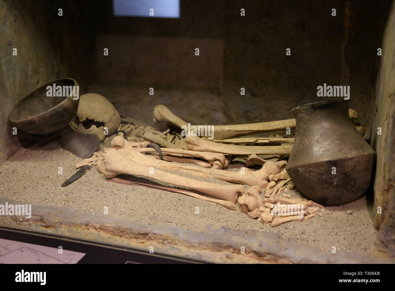 La pratique funéraire de l'âge du Bronze. L'inhumation. Pieve de la culture. Musée d'archéologie de Catalogne. Barcelone. L'Espagne. Banque D'Images