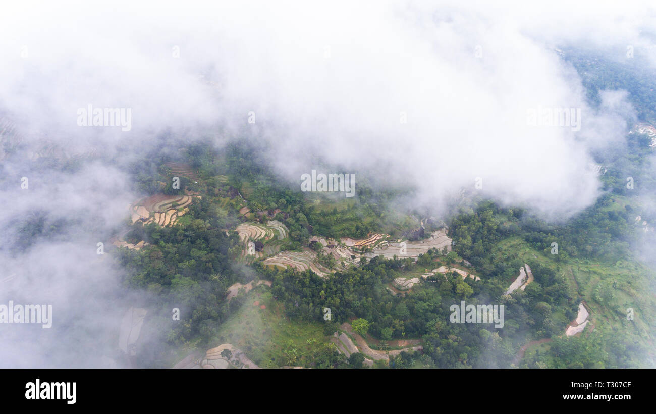 Un aperçu de la culture du riz et de parcelles de forêt de haute altitude. Près de Nglanggeran mountain Banque D'Images