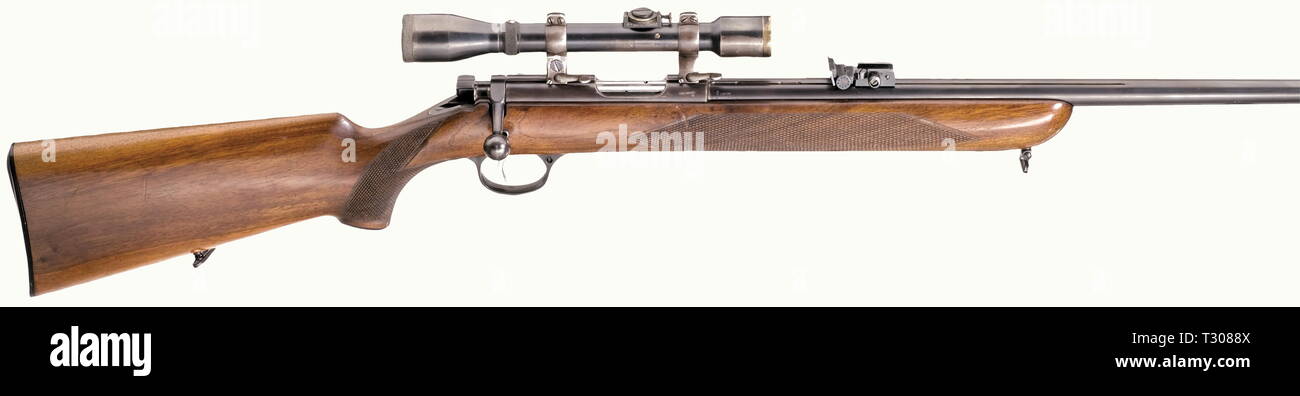 Les bras longs, les systèmes modernes, Walther Sportmodell Meisterbuechse,  calibre 22 lr, numéro 65712, Additional-Rights Clearance-Info-Not-Available  Photo Stock - Alamy