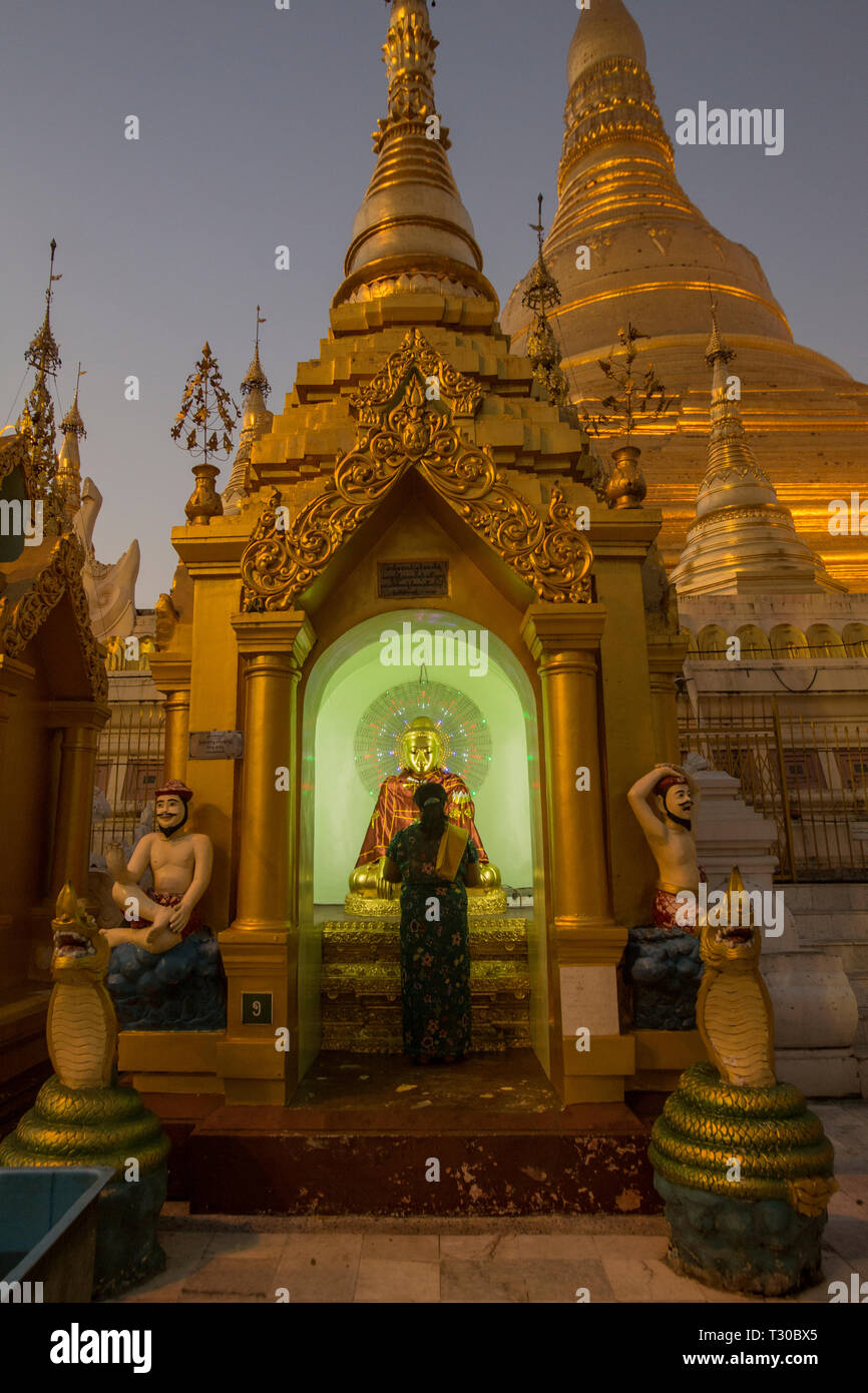 Dévot priaient à un petit sanctuaire bouddhiste à la pagode Shwedagon, Yangon, Myanmar (Birmanie) Banque D'Images
