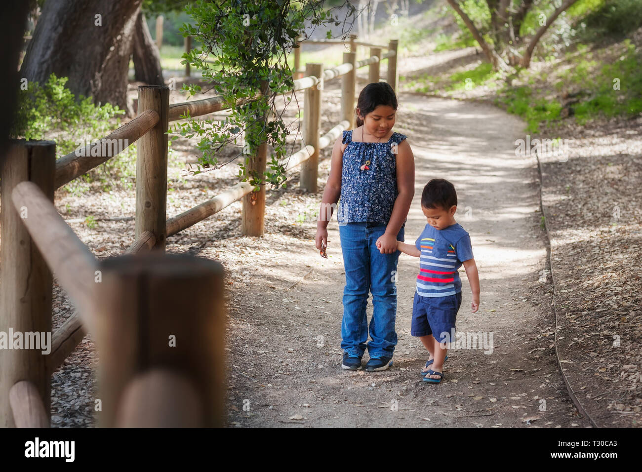 Grande sœur holding petits frères la main tout en marchant dans un sentier boisé en Californie un parc national. Banque D'Images