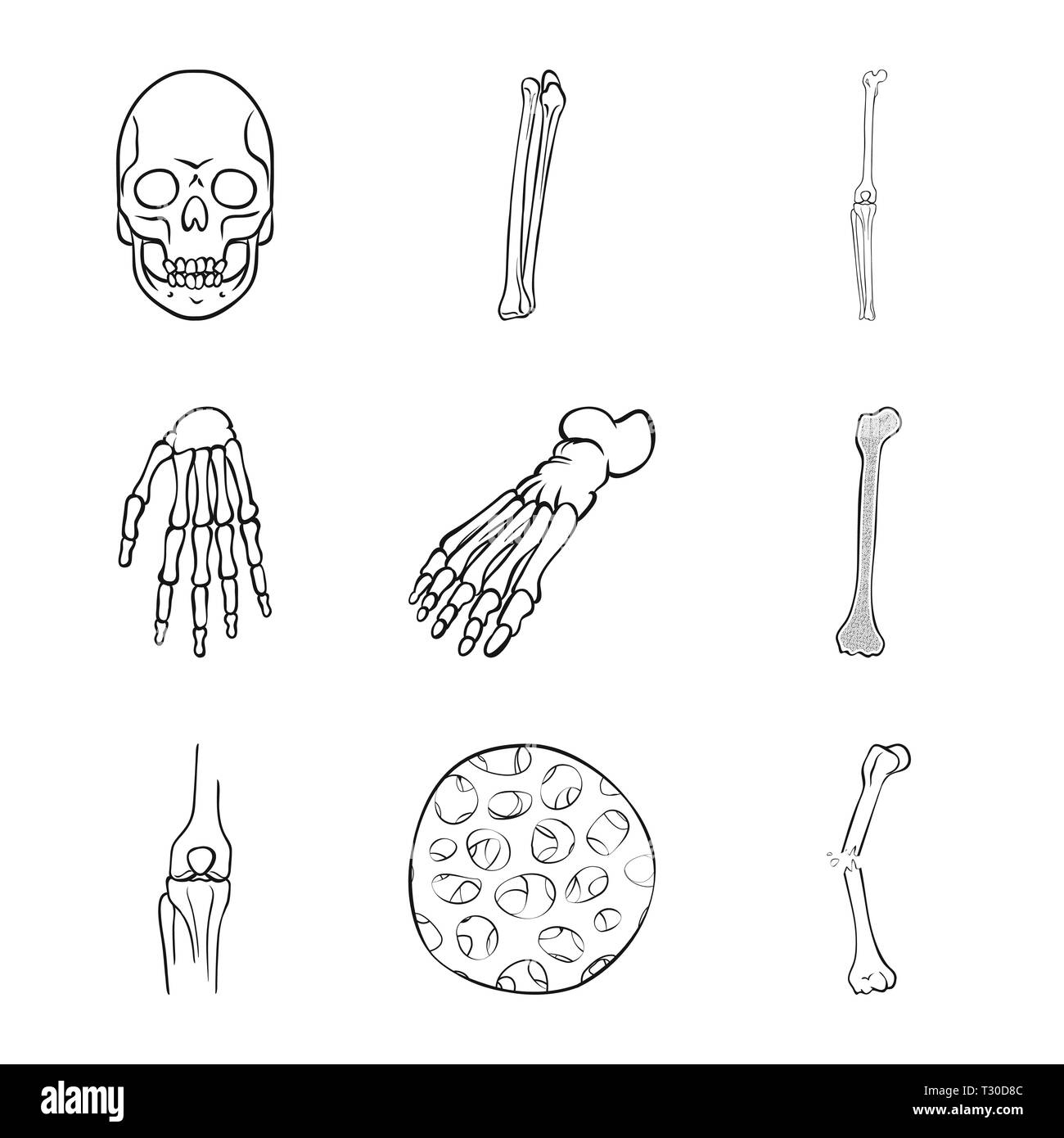 Crâne,fémur genou,poignet,pieds,fibres,fracture,,la mort,joints,vente,de la cheville, douleur osseuse,sain,horreur,bras,l'avant-pied,tibia,tatouage,épithélium conjonctif,jambe,carpe,DE,panneaux,péroné,épiderme,tête,l'appareil locomoteur chirurgie,médecine,clinique,biologie,médical,os,squelette,anatomie,des,organes,,set,icône,illustration,isolé,collection,design,élément,graphique,signe,ligne,plan,vecteurs vecteur , Illustration de Vecteur