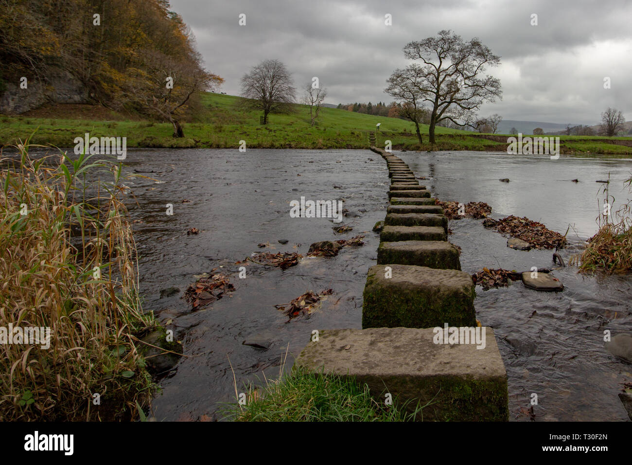 Stepping Stones sur un sentier public traversant la rivière Hodder près de l'auberge à Whitewell, Lancashire, Angleterre, Royaume-Uni Banque D'Images