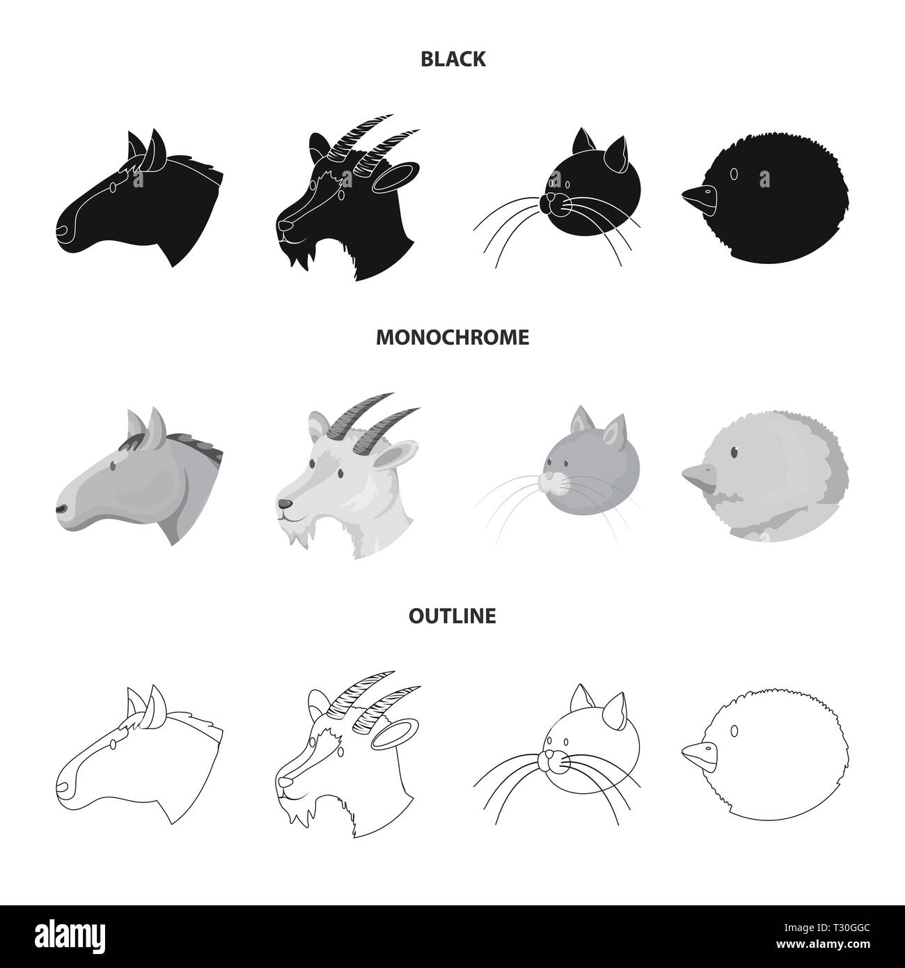Cheval Chien Chat Lapin Face Animal Animaux Chaton Chiot Elevage Lapin Mustang Race Mignon Viande Etalon Toutes Comportement Lievre La Queue Funny Tournant Pose Trot Fourrure Soin Fun Agriculture Elevage Reproduction Ranch Ferme Bio Alimentation Tete