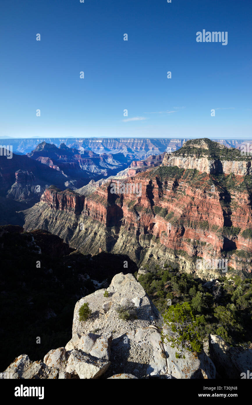 Grand Canyon, Arizona, l'Amérique Banque D'Images