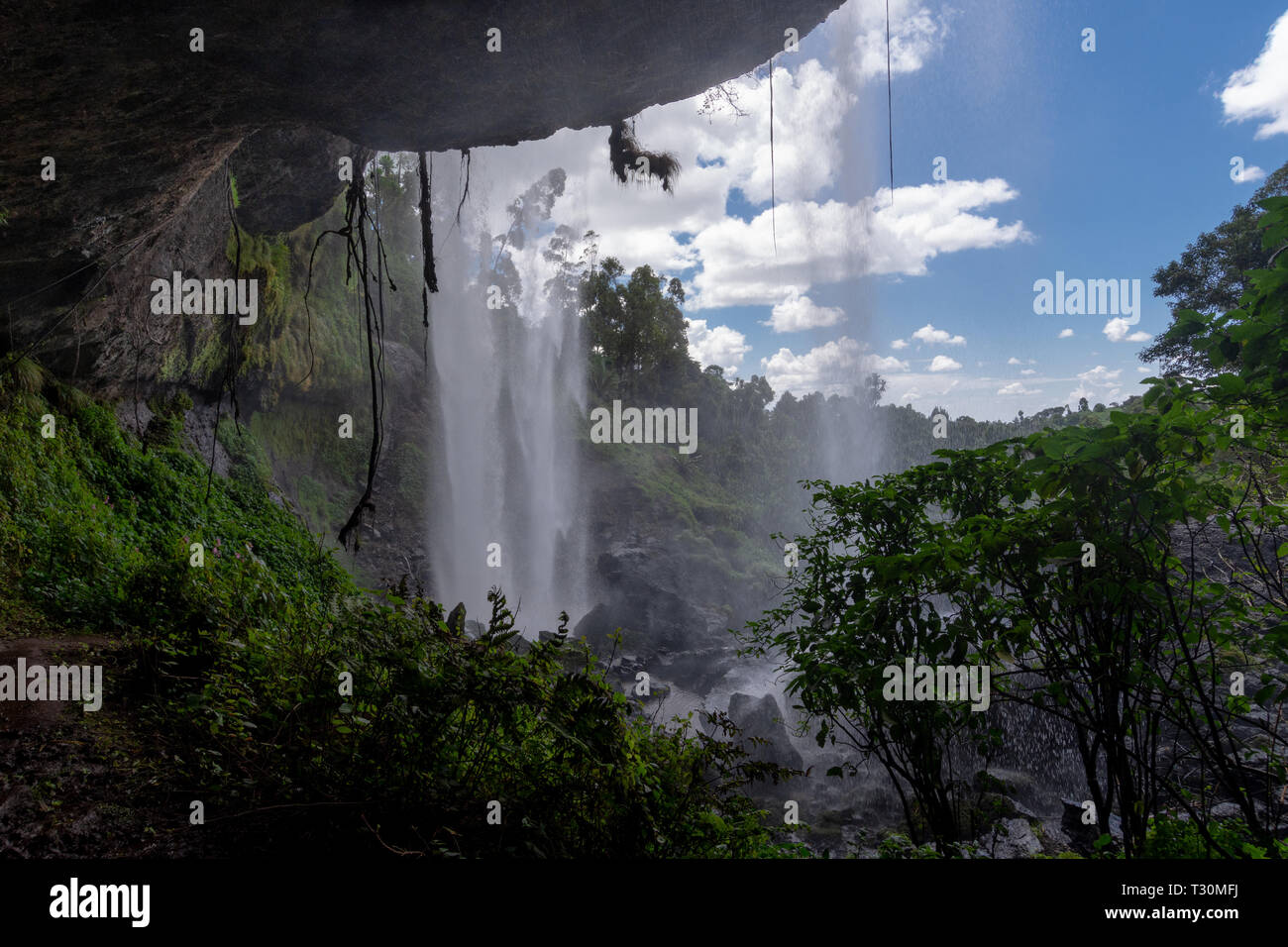 Le plus bas - Sipi Falls Banque D'Images