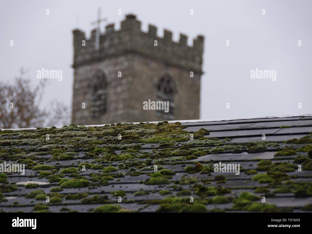 Cornish église sur un toit en ardoise avec moss Banque D'Images