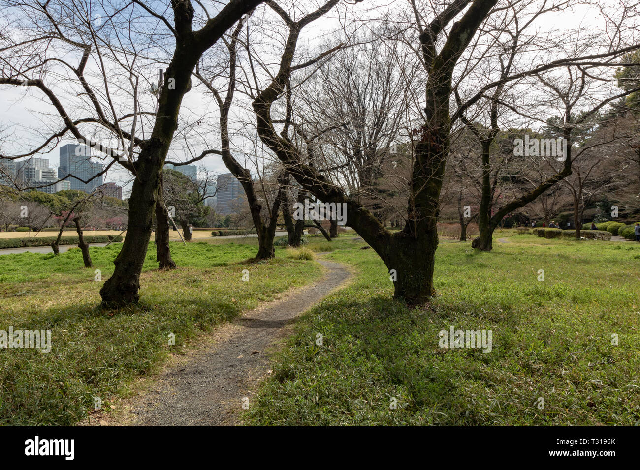 Lorsque vous décidez de visiter le Palais Impérial de Tokyo est prêt à ne voir que l'extérieur des jardins. Il n'y a pas d'option pour voir l'intérieur du palais. Banque D'Images