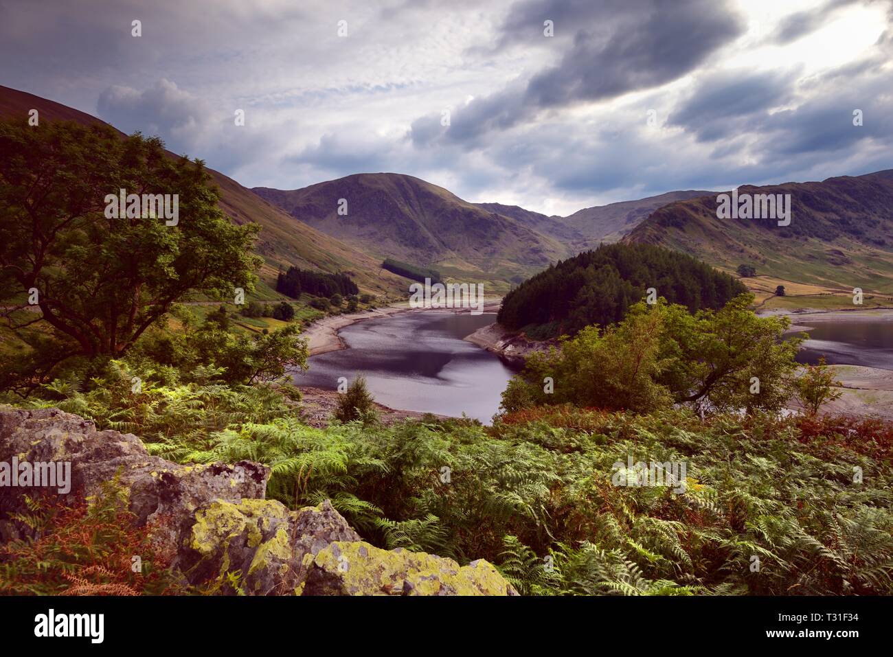 Fin d'après-midi sur la végétation de Haweswater Banque D'Images