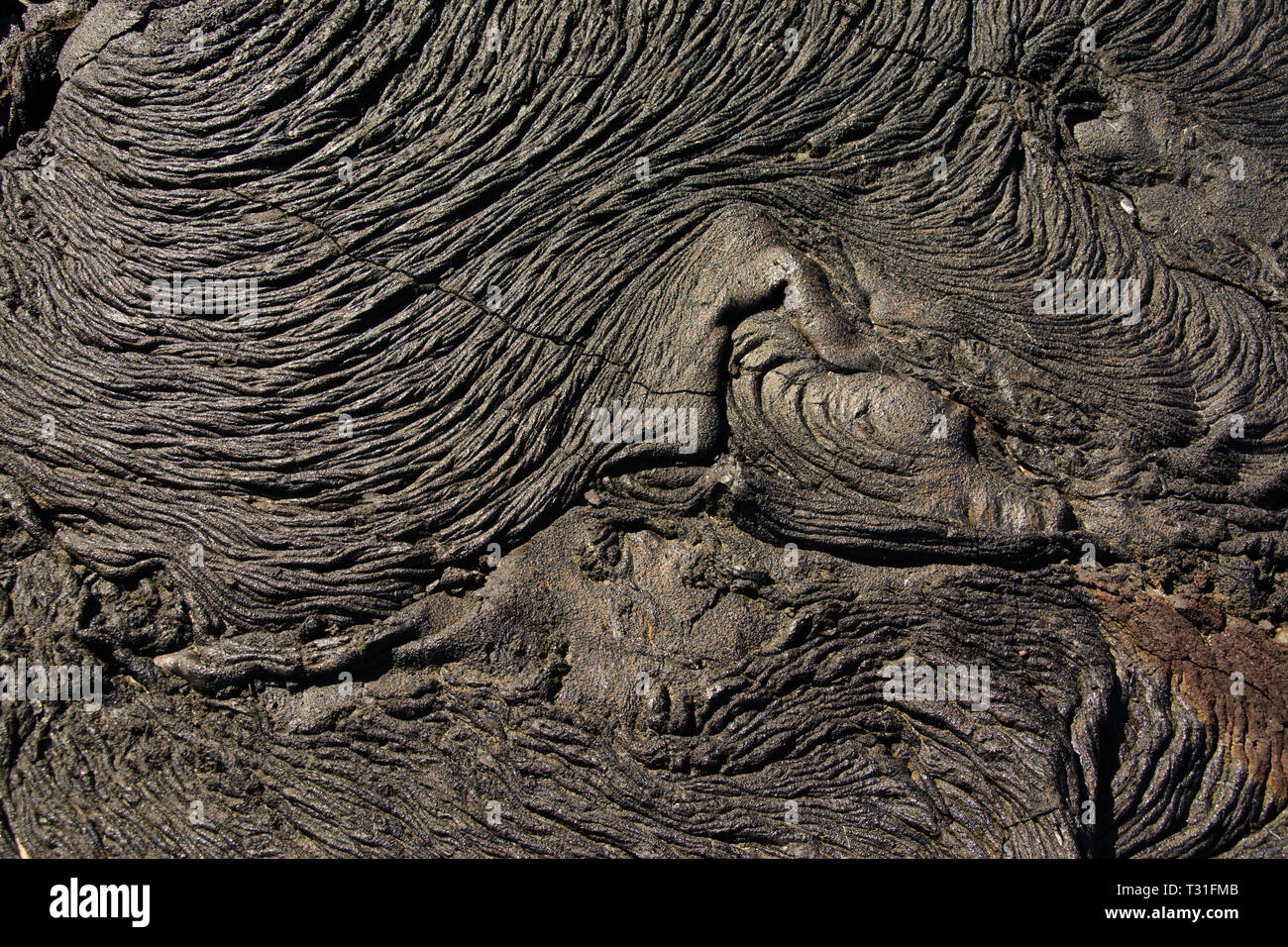 L'AMÉRIQUE DU SUD, l'Équateur, Îles Galápagos, l'île de Santiago, formations de lave Banque D'Images