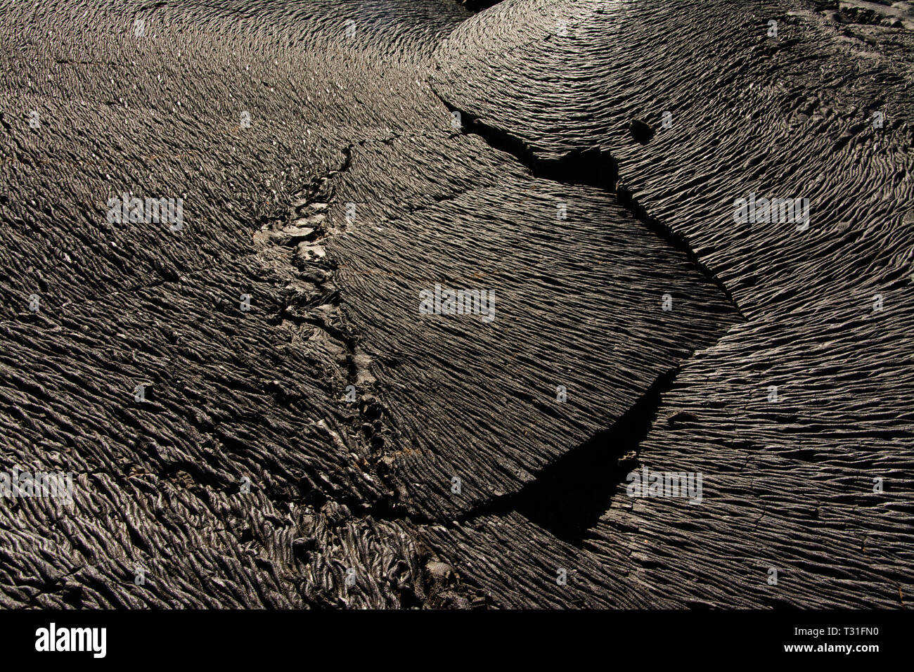L'AMÉRIQUE DU SUD, l'Équateur, Îles Galápagos, l'île de Santiago, formations de lave Banque D'Images