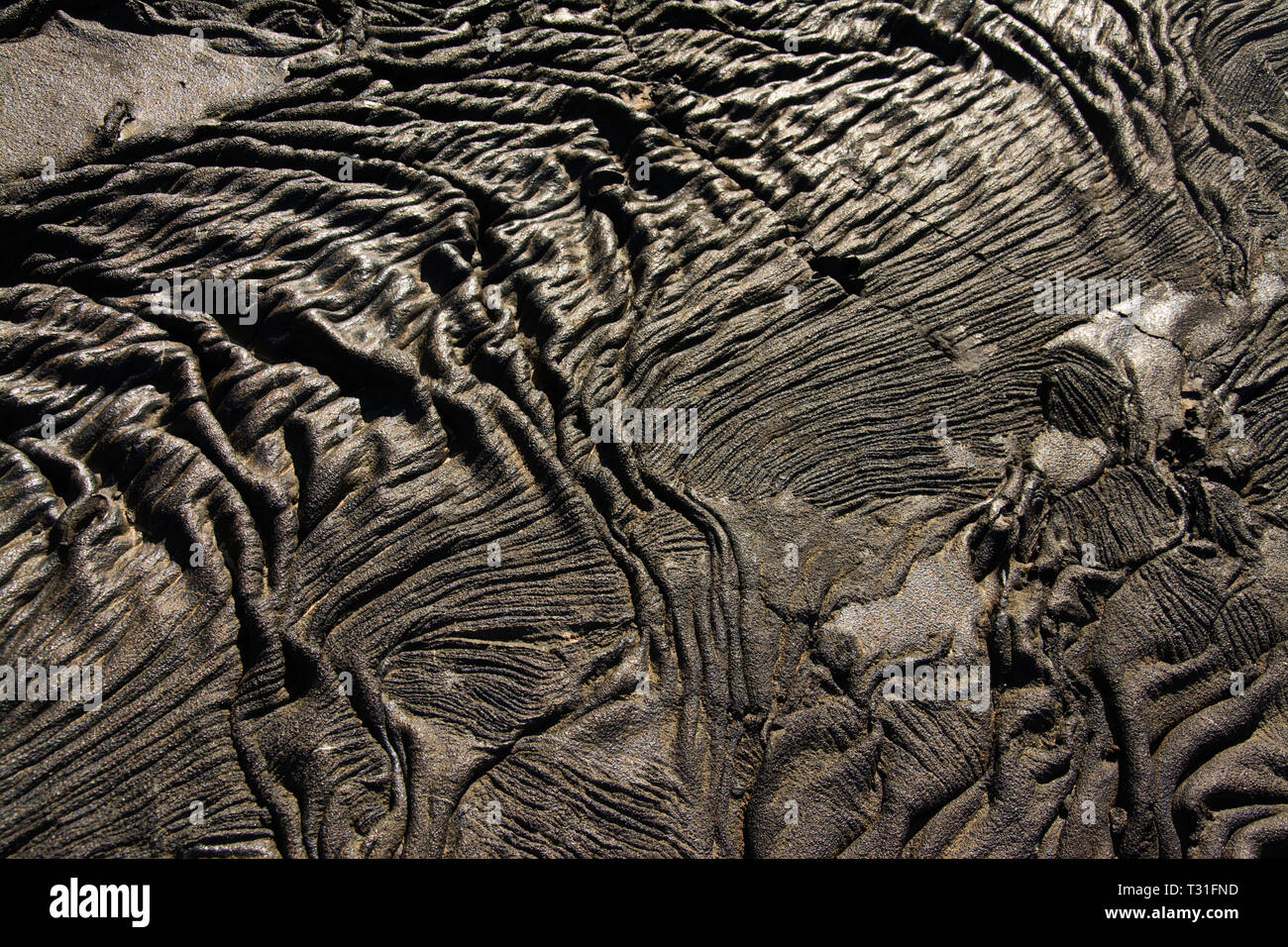 L'AMÉRIQUE DU SUD, l'Équateur, Îles Galápagos, l'île de Santiago, formations de lave Banque D'Images