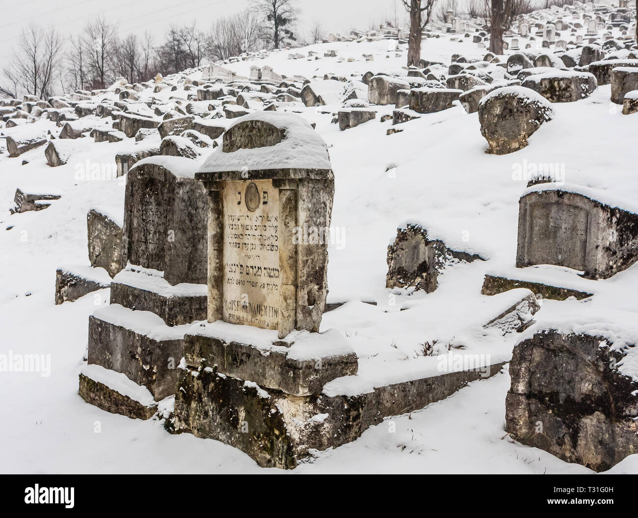 L'OId endommagé Cimetière juif au cours de siège de Sarajevo par les Serbes. Le deuxième plus grand cimetière juif d'Europe après le Vieux cimetière juif de Prague Banque D'Images