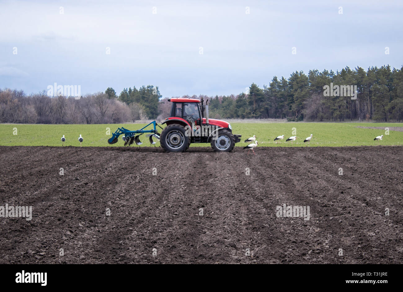 Le tracteur s'occupe de la terre. Les agriculteurs préparent la terre pour semer des graines. La mécanisation de l'agriculture. Banque D'Images