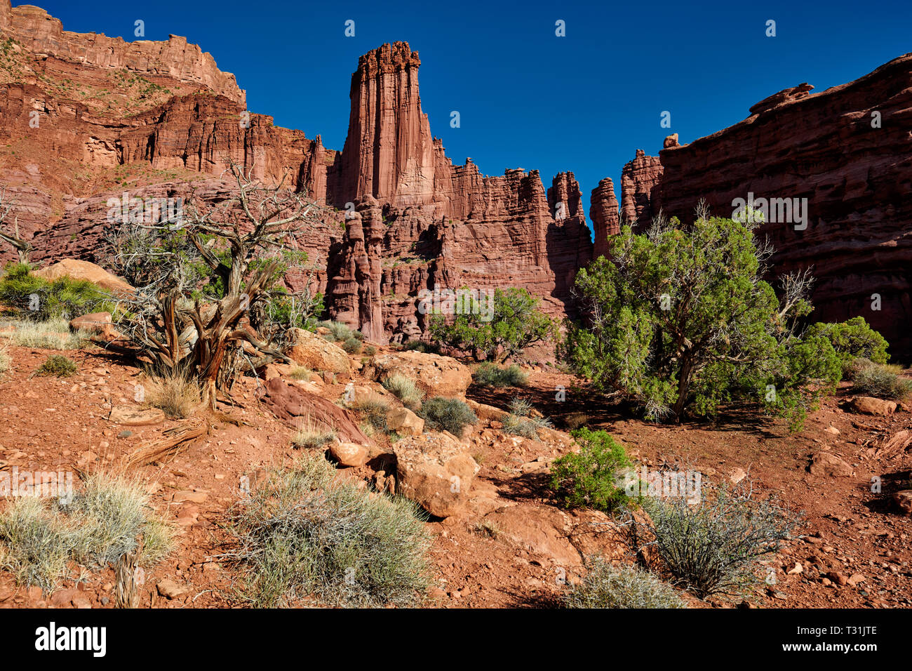 Fisher Towers, Moab, Utah, USA, Amérique du Nord Banque D'Images