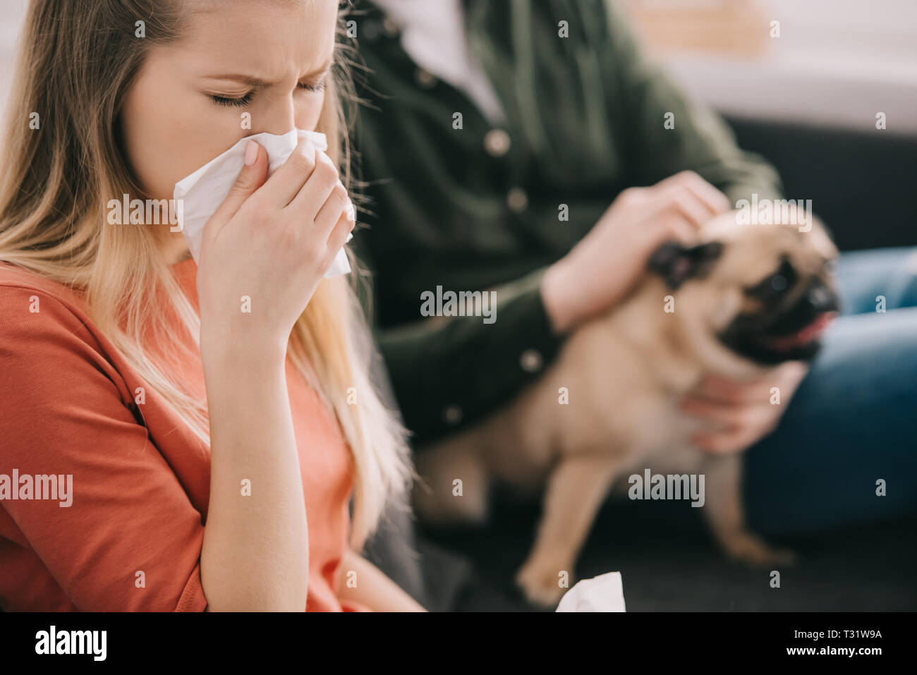 Portrait de femme blonde allergique au chien éternue près de l'homme avec  le PUG Photo Stock - Alamy