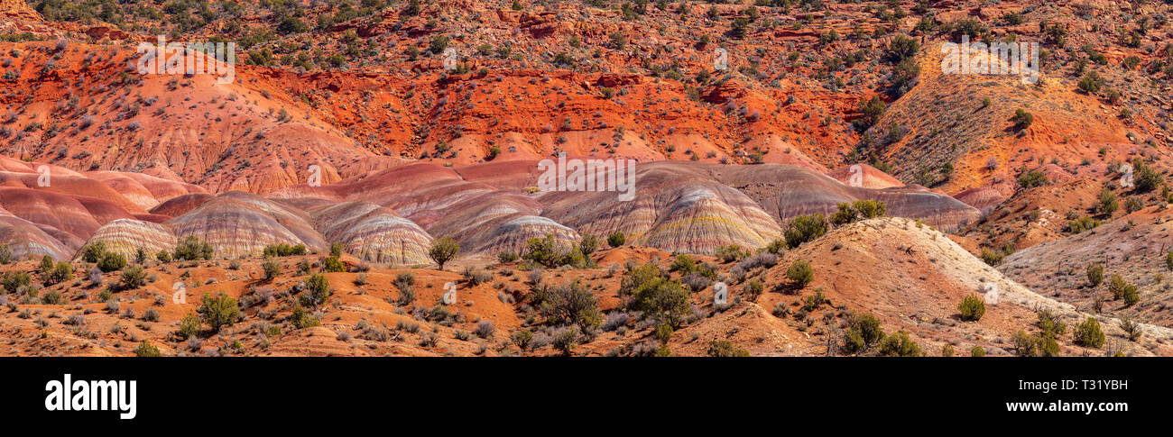 Canyon Coloré de sud-ouest de l'Arizona et l'Utah USA Banque D'Images