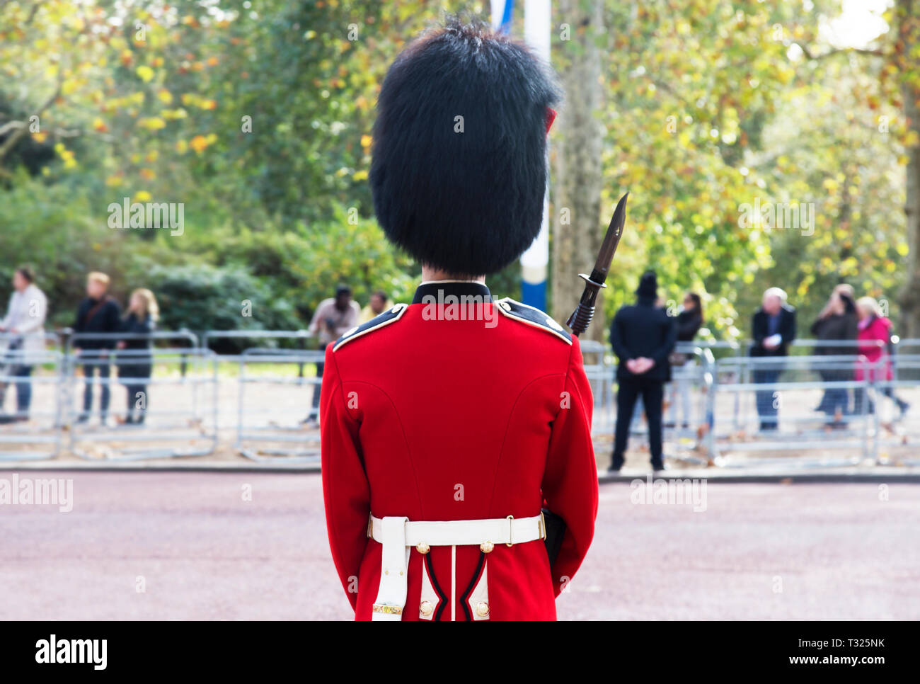 Les gardes du palais de Buckingham lors de la traditionnelle cérémonie