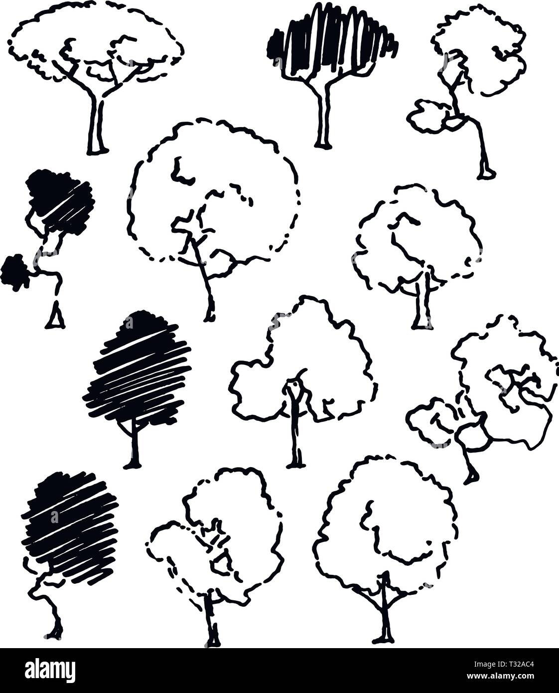 Arbres jeu de croquis, dessins, illustration vintage style encre dessiner, gravé à la main. Image vectorielle Illustration de Vecteur