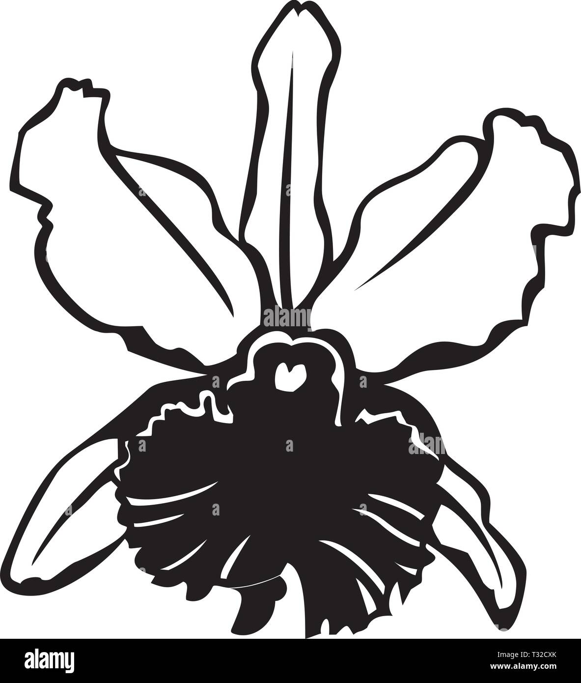 Illustration d'Orchidée Illustration de Vecteur