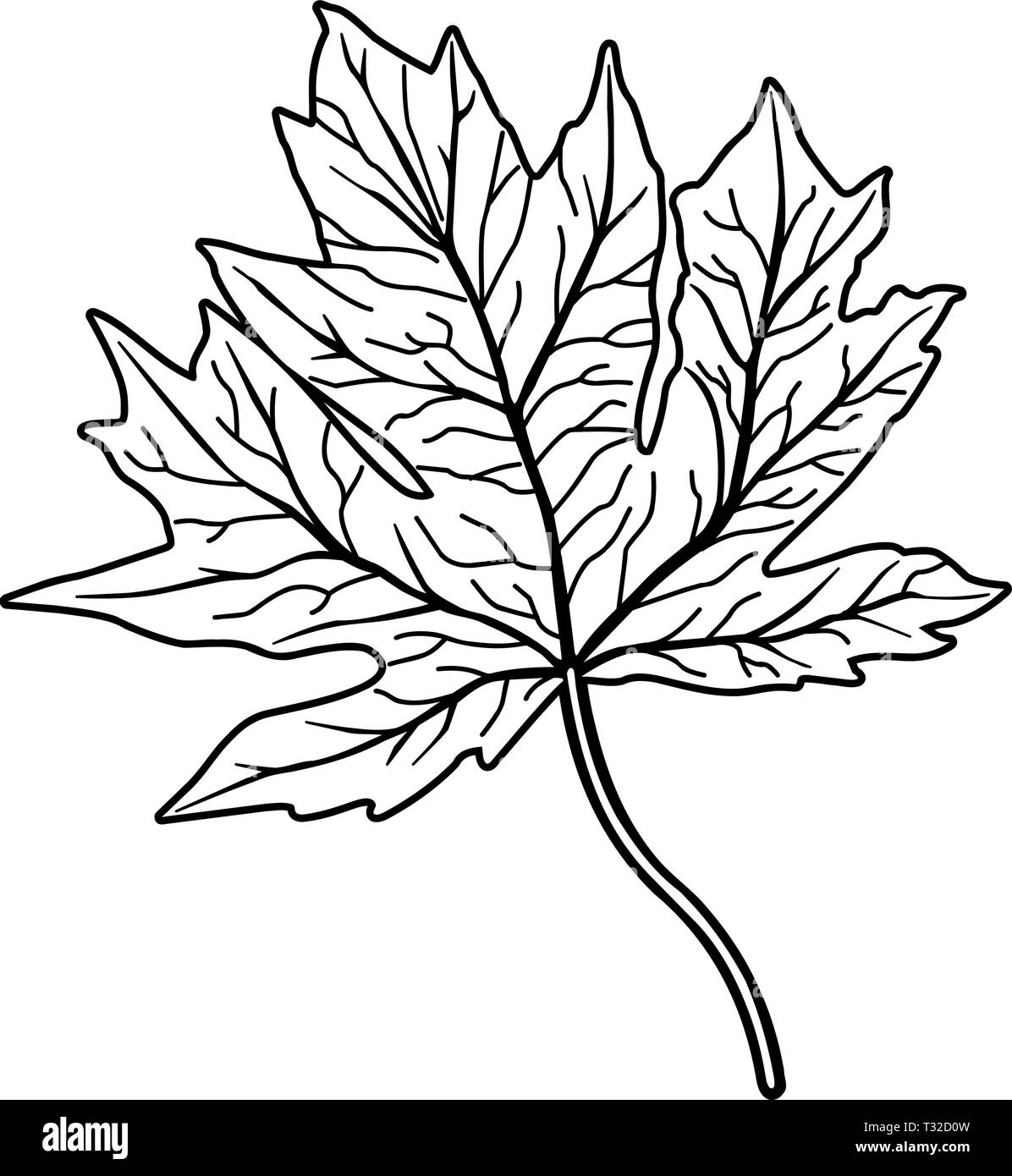 Feuille d'érable Vector Illustration Illustration de Vecteur