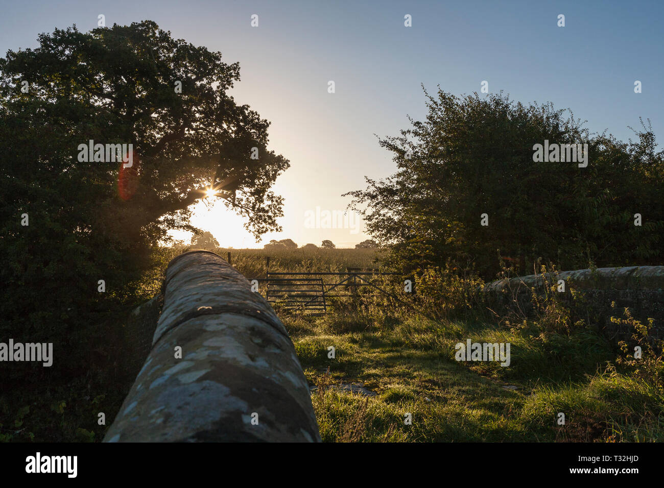 Lever du soleil sur la campagne près de Audlem, East Cheshire, Angleterre, à partir de la neige, du pont du canal de Shropshire Union Banque D'Images